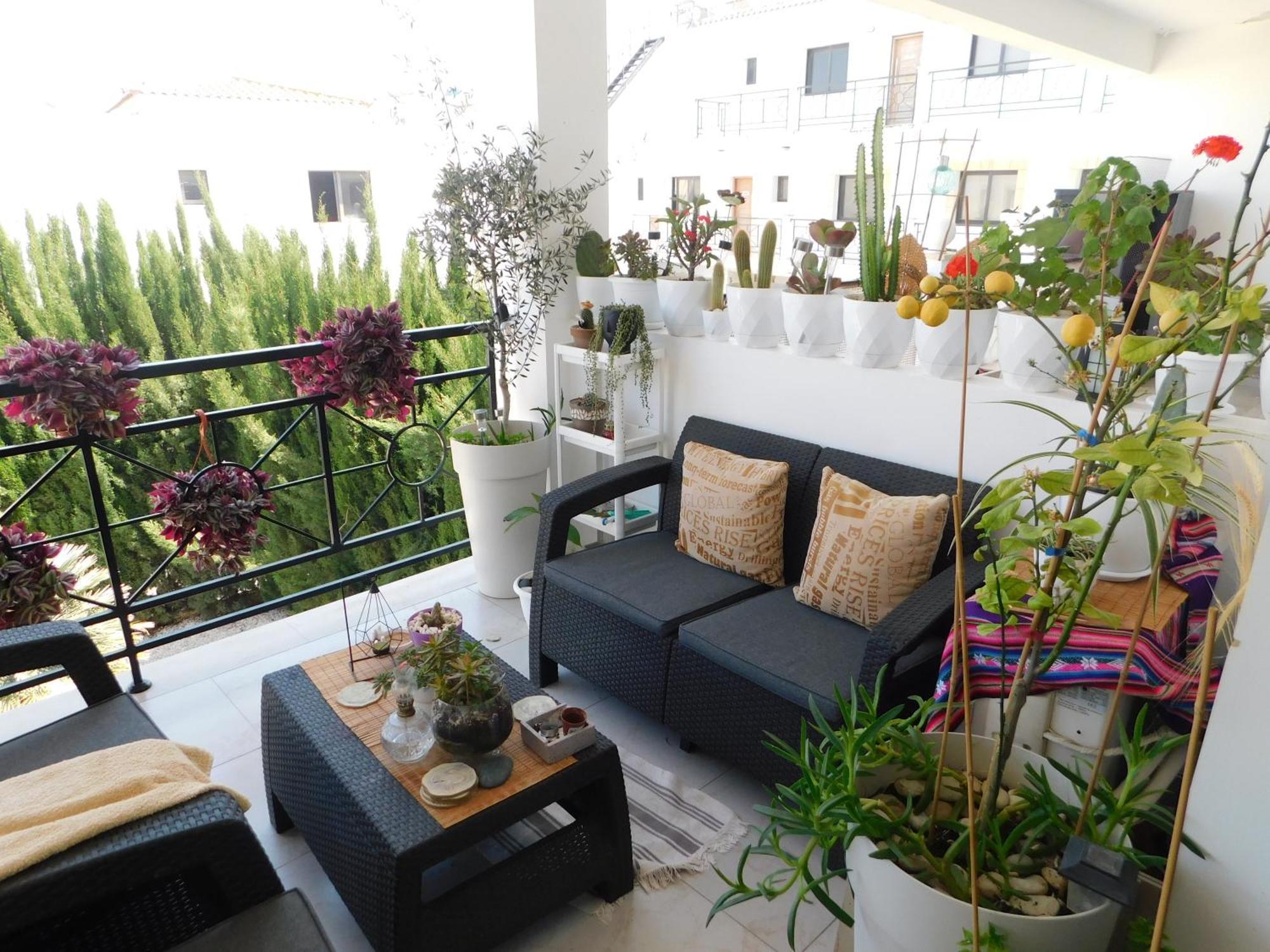 Paramount Gardens Resorts C202 拉纳卡 外观 照片